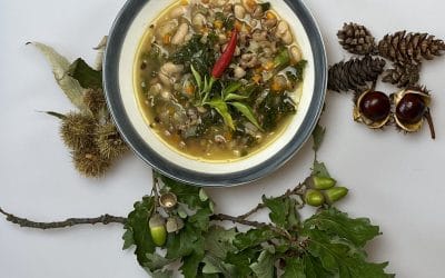 Kale & Mixed Bean Soup