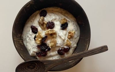 Fairy Yogurt Chia