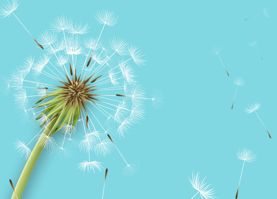 Discover the Surprising Benefits of Dandelion for Your Body