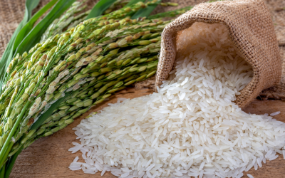 The Health Benefits and Nutritional Comparisons of Sticky Rice, Black Rice, Brown Rice, and Wild Rice