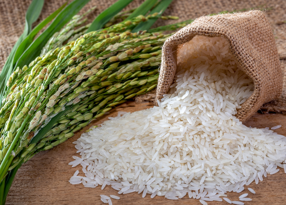 The Health Benefits and Nutritional Comparisons of Sticky Rice, Black Rice, Brown Rice, and Wild Rice