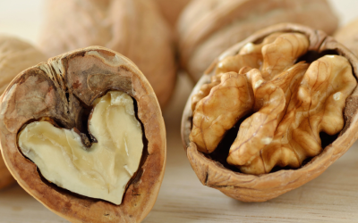 Boost Your Brain Power with Nuts: Unleashing the Walnut’s Superpowers